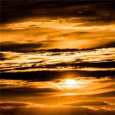 49图库资料免费大全资料澳门app下载